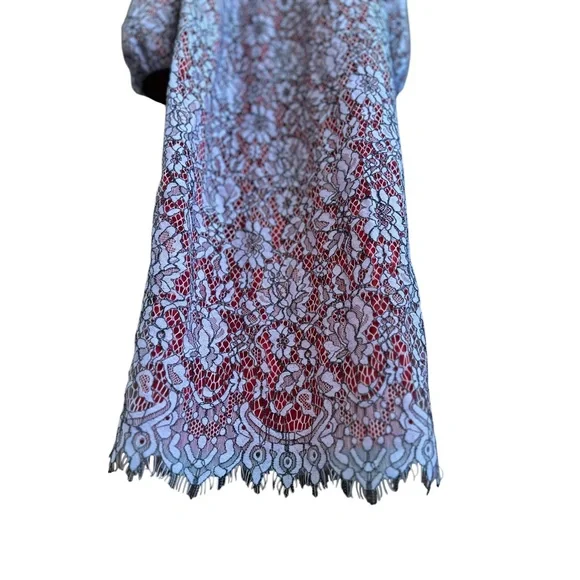 ASOS extreme sleeve Bardot pencil lace midi dress with contrast trims - Picture 9 of 9